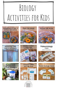 Biology Activities for Kids - ResearchParent.com