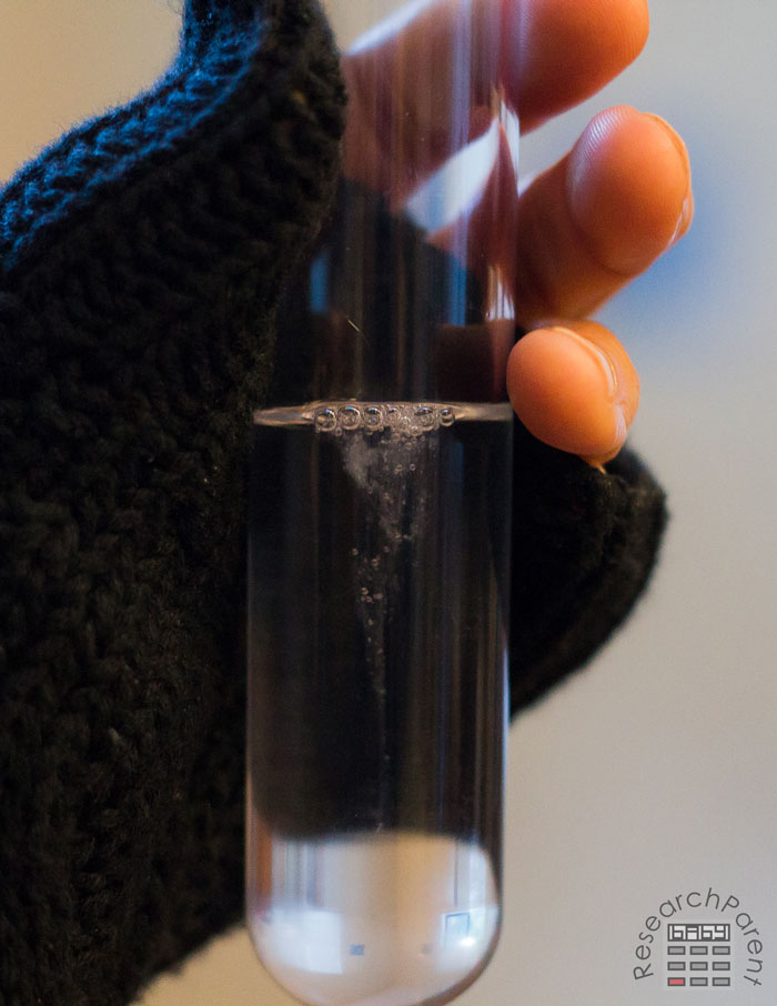 Extracting DNA in a Test Tube shaken