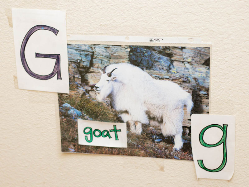 Goat Wall Letter Poster