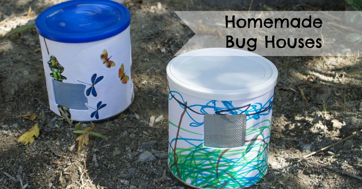 Homemade Bug Houses ResearchParent Homemade Bug Houses ResearchParent