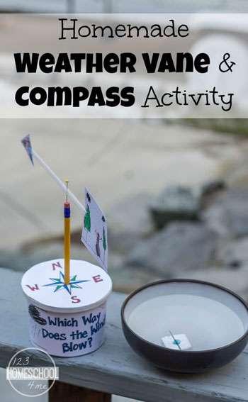 Homemade Weather Vane and Compass Activity