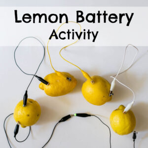 Lemon Battery Activity
