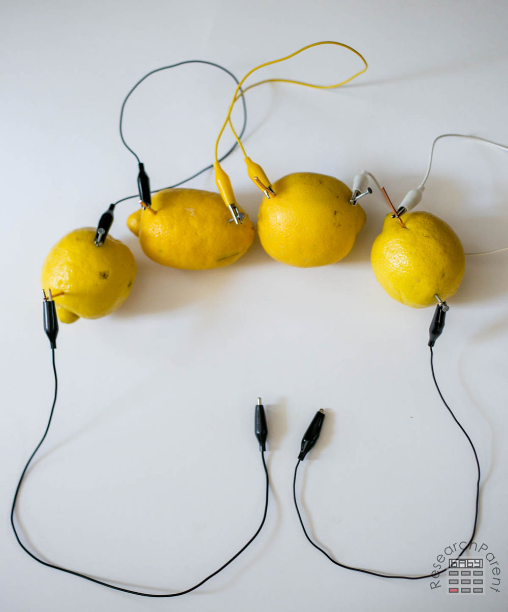 Lemon battery with nothing attached