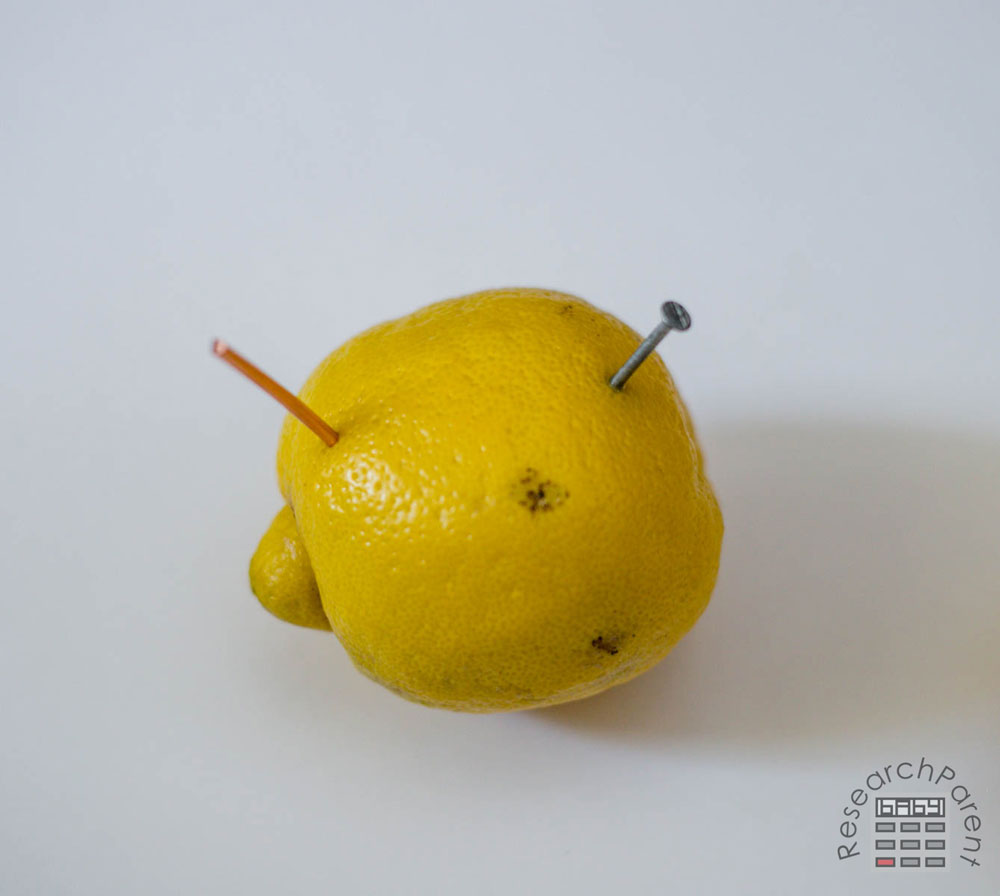 Lemon with anode and cathode