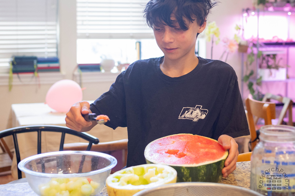 Melon salad