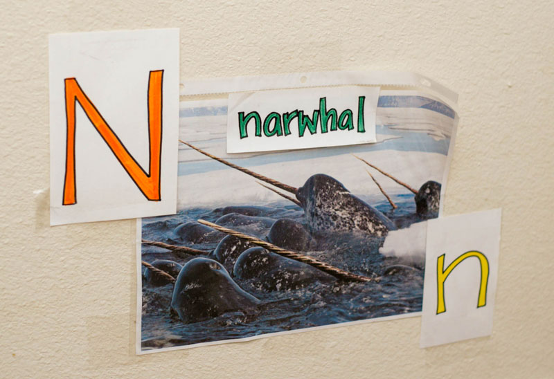 Narwhal Wall Letter Poster