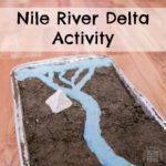 Nile River Delta Model