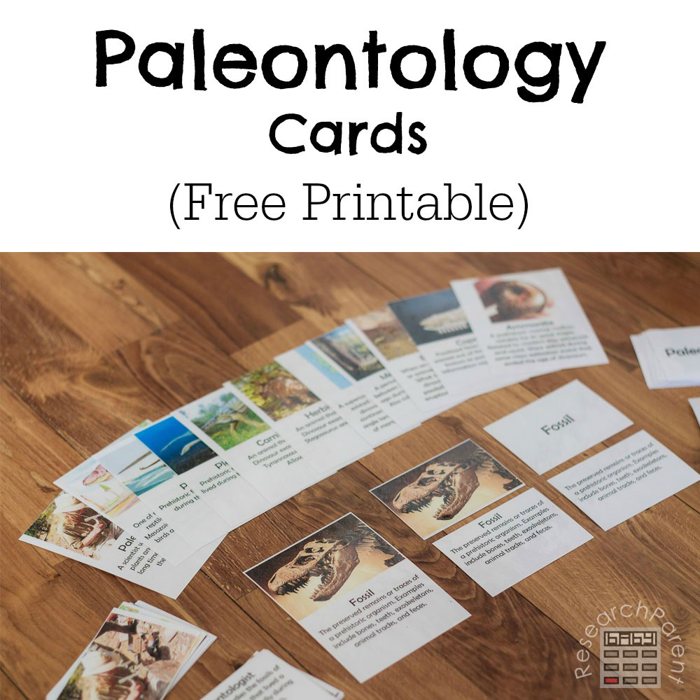 Paleontology Cards