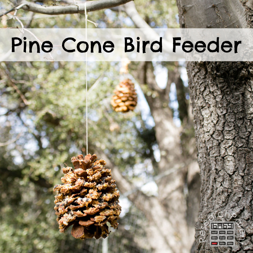 Pine Cone Bird Feeders