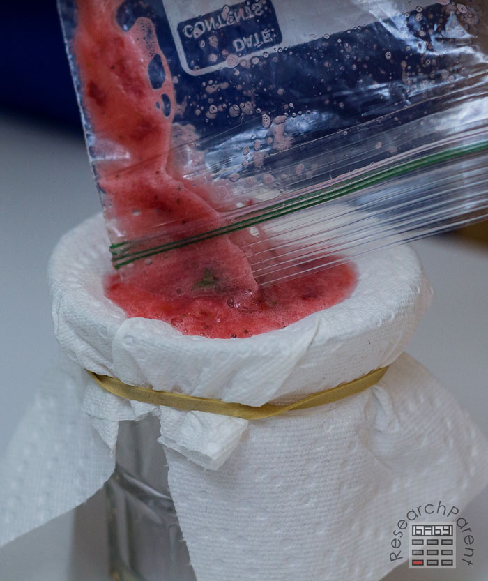 Pour strawberry mixture onto paper towel