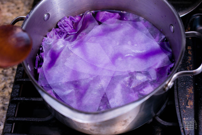Put filter paper in red cabbage solution