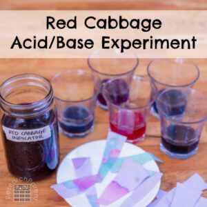 Red Cabbage Acid Base Experiment