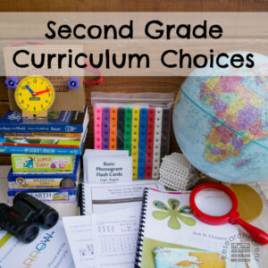Second Grade Curriculum Choices