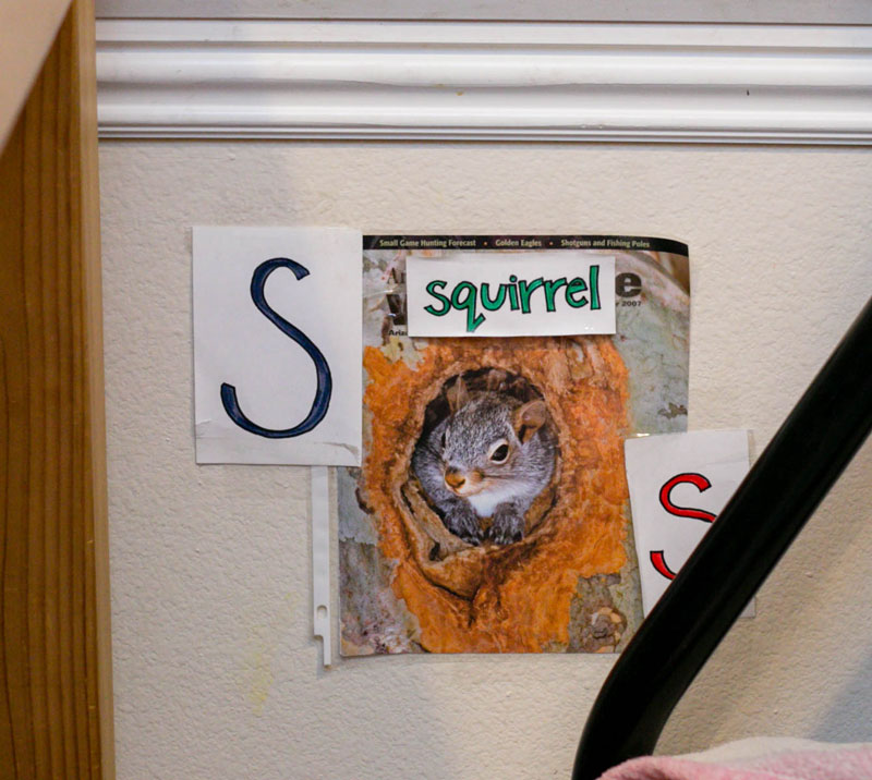 Squirrel Wall Letter Poster