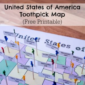 United States of America Toothpick Map