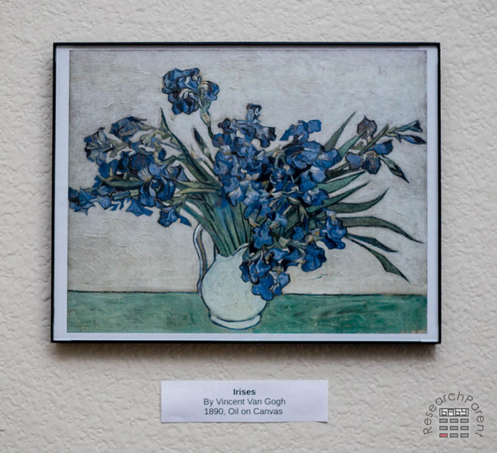 Van Gogh Irises at the Met