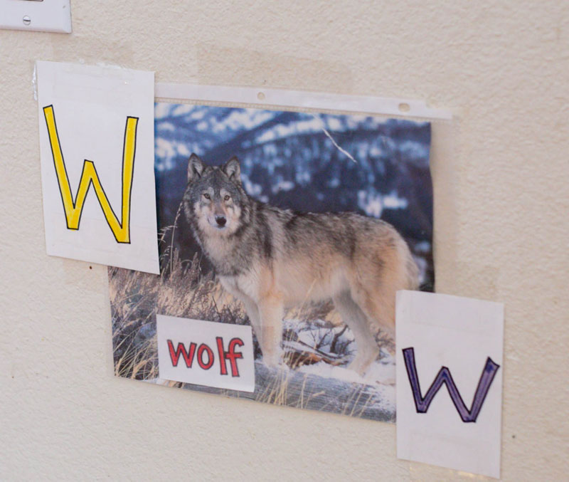 Wolf W Wall Letter